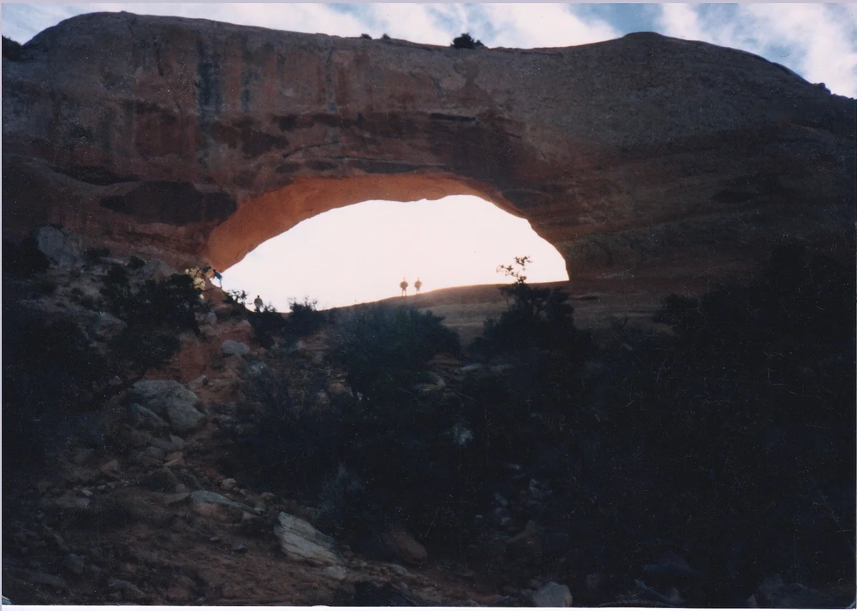 投稿写真：Wison Arch