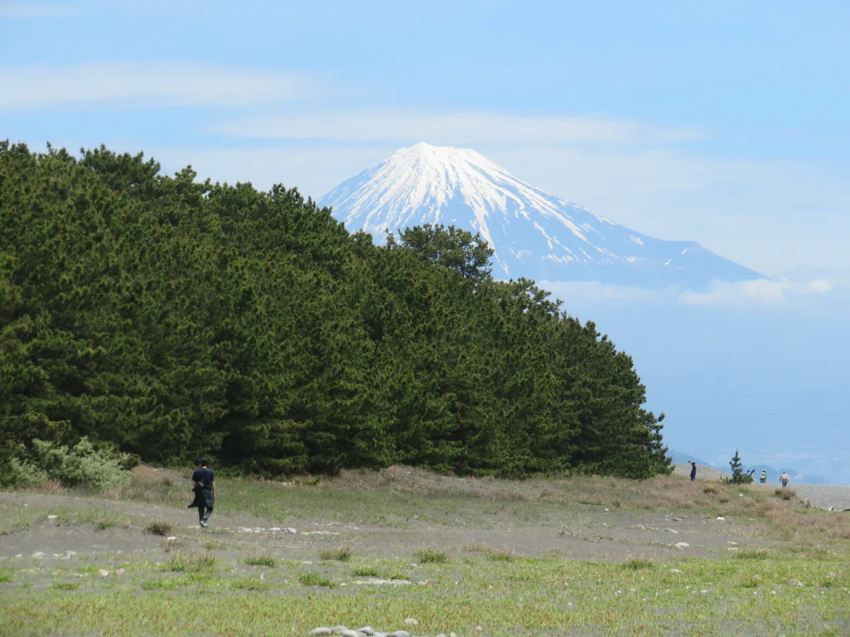 投稿写真：三保松原と富士山