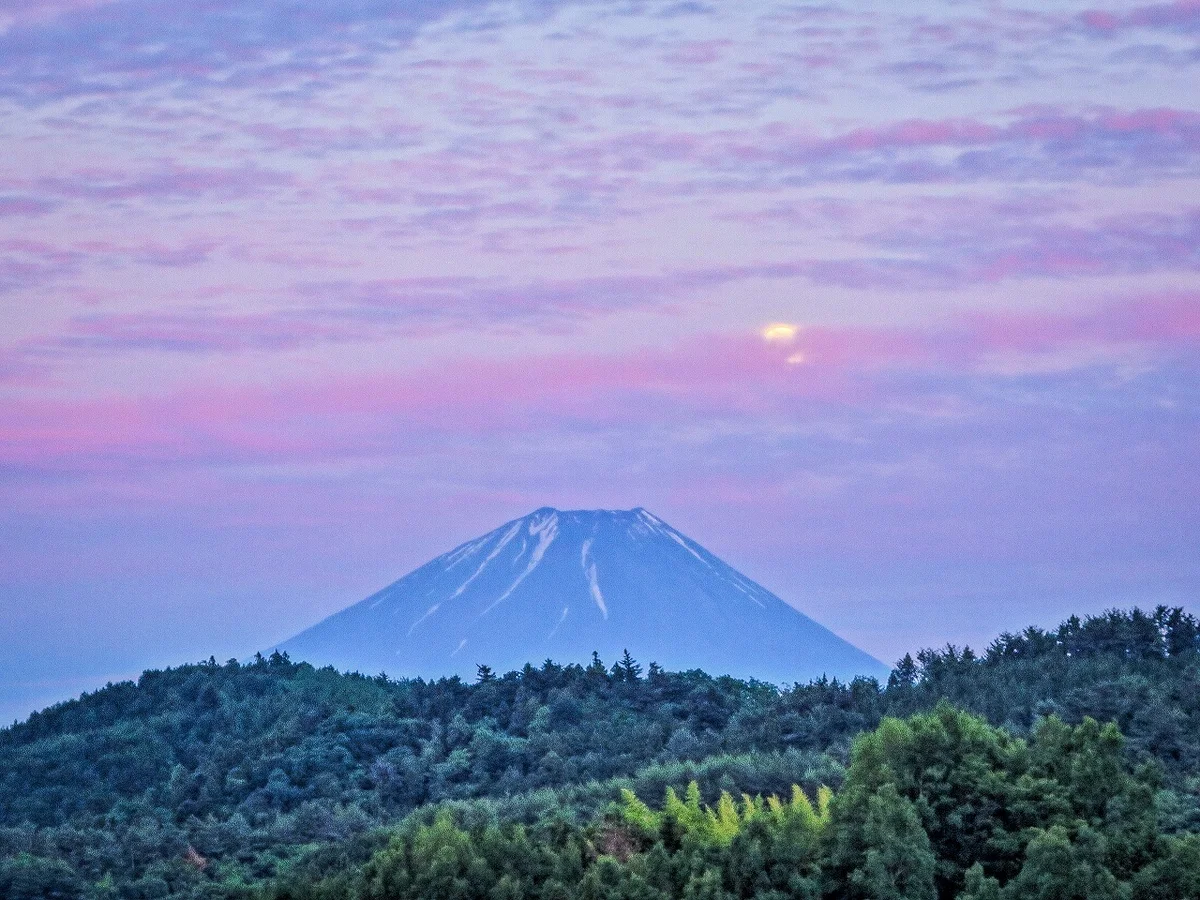 投稿写真：ピンクの夕焼け雲と富士山