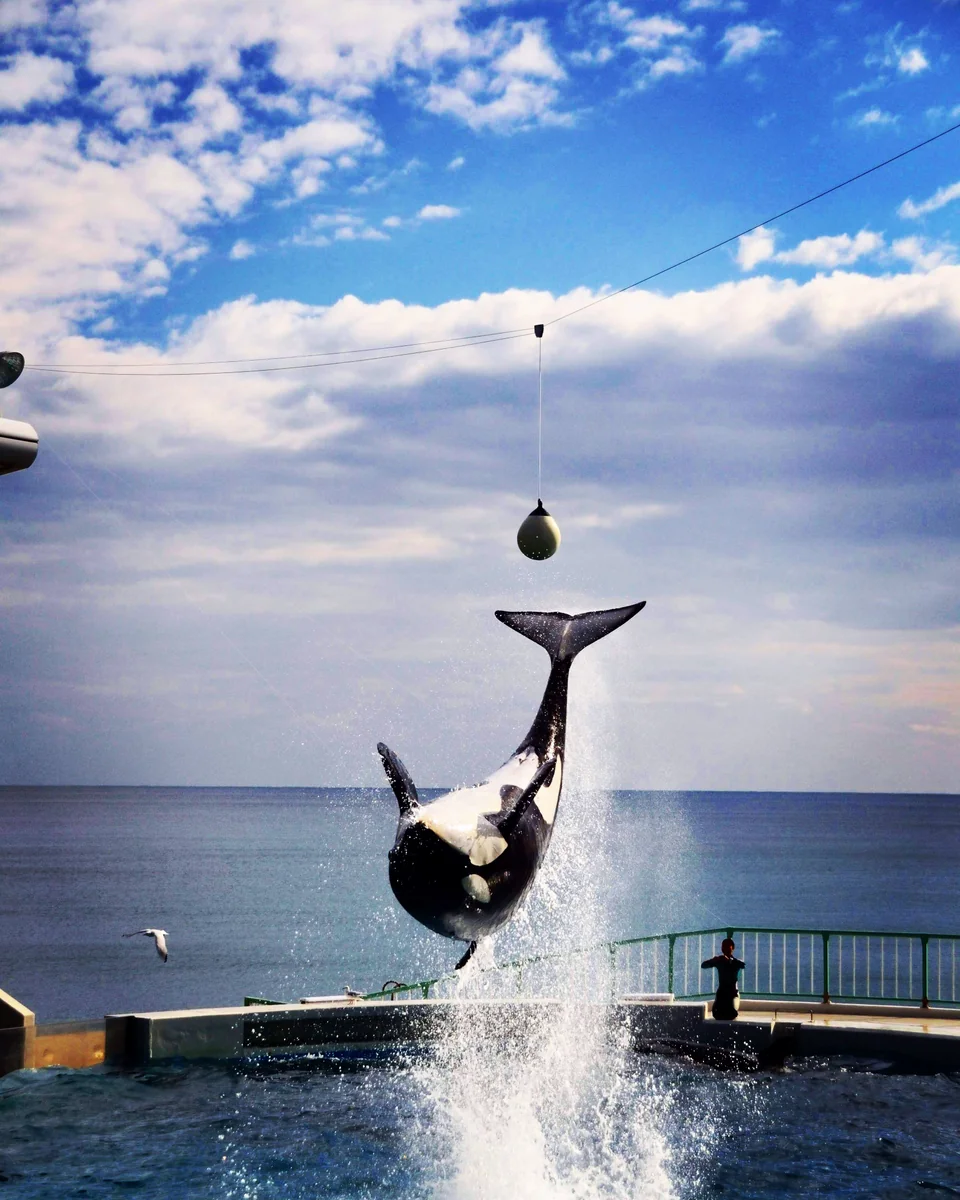 投稿写真：ジャンプ！