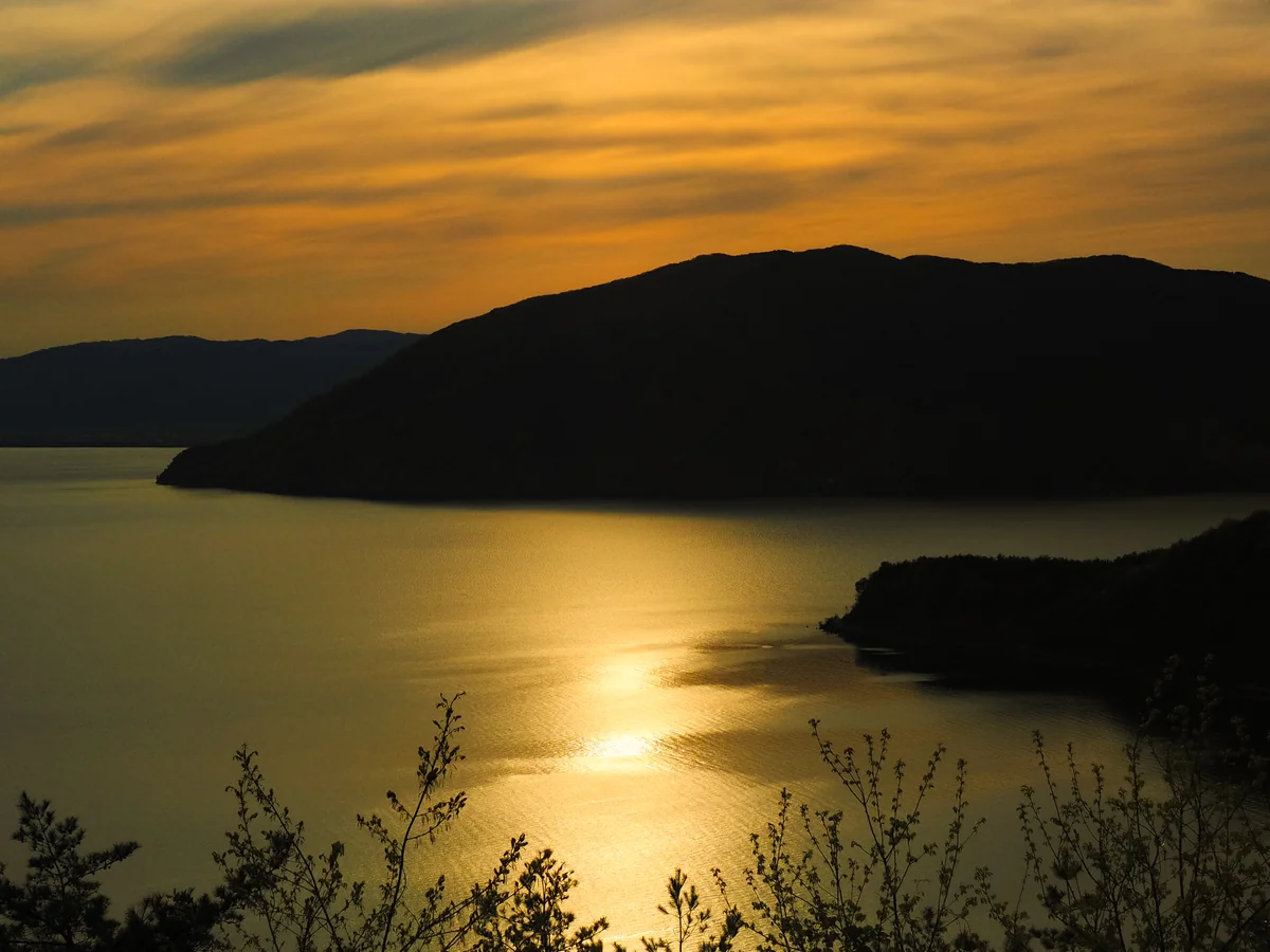 投稿写真：黄金に染まる