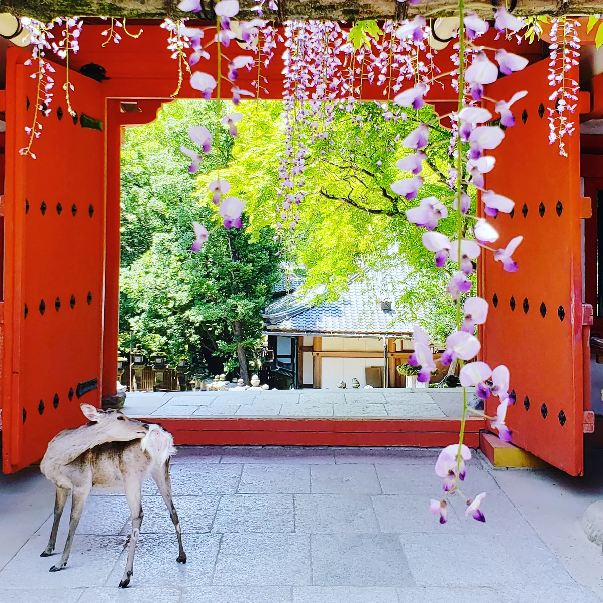 masakokaさんの投稿写真