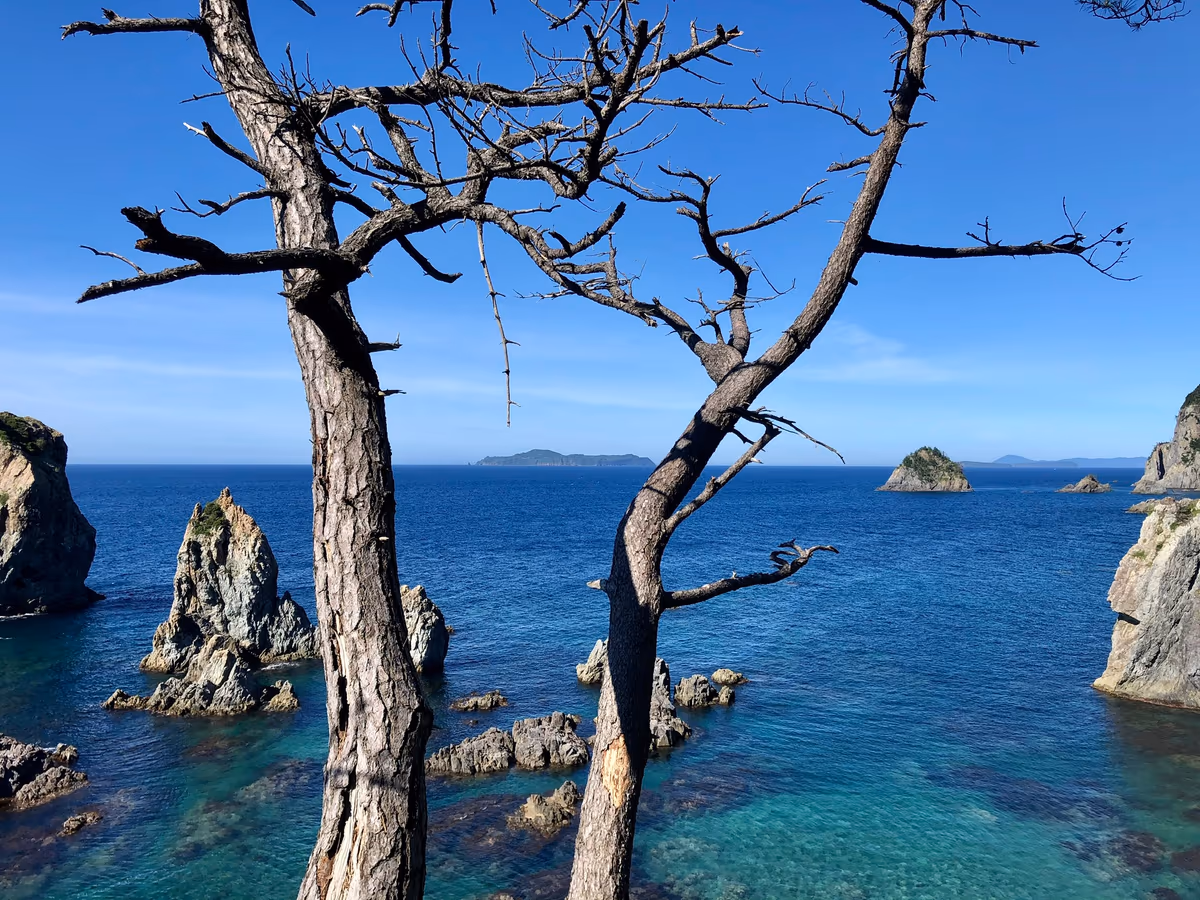 投稿写真：長門市　青海島