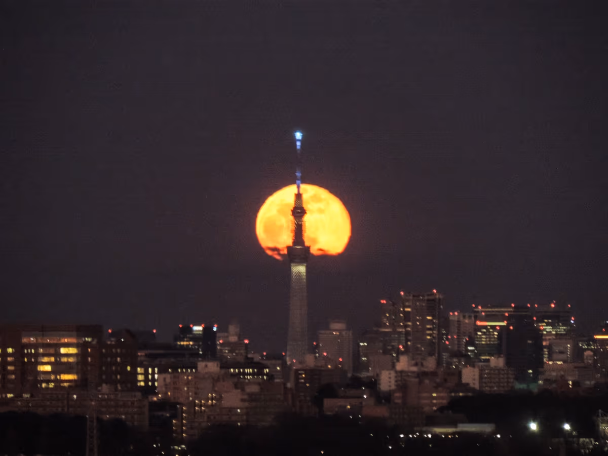 投稿写真：パールスカイツリー
