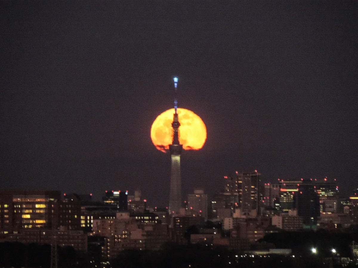 投稿写真：パールスカイツリー