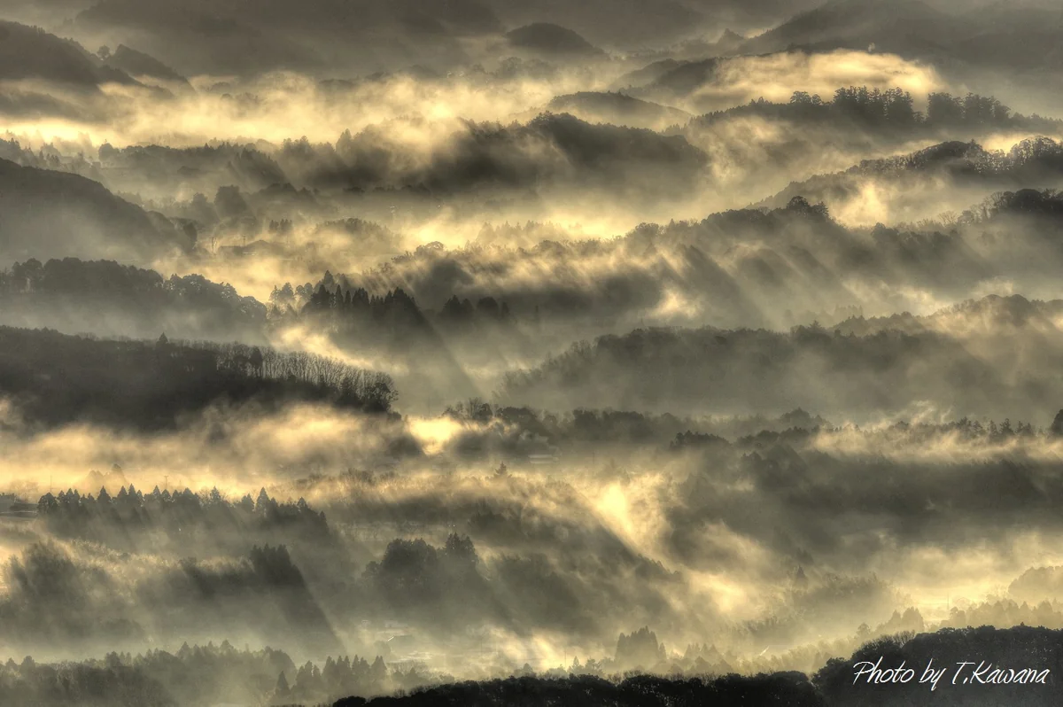 投稿写真：幽玄なる里山の朝
