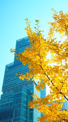  | 絶景事典