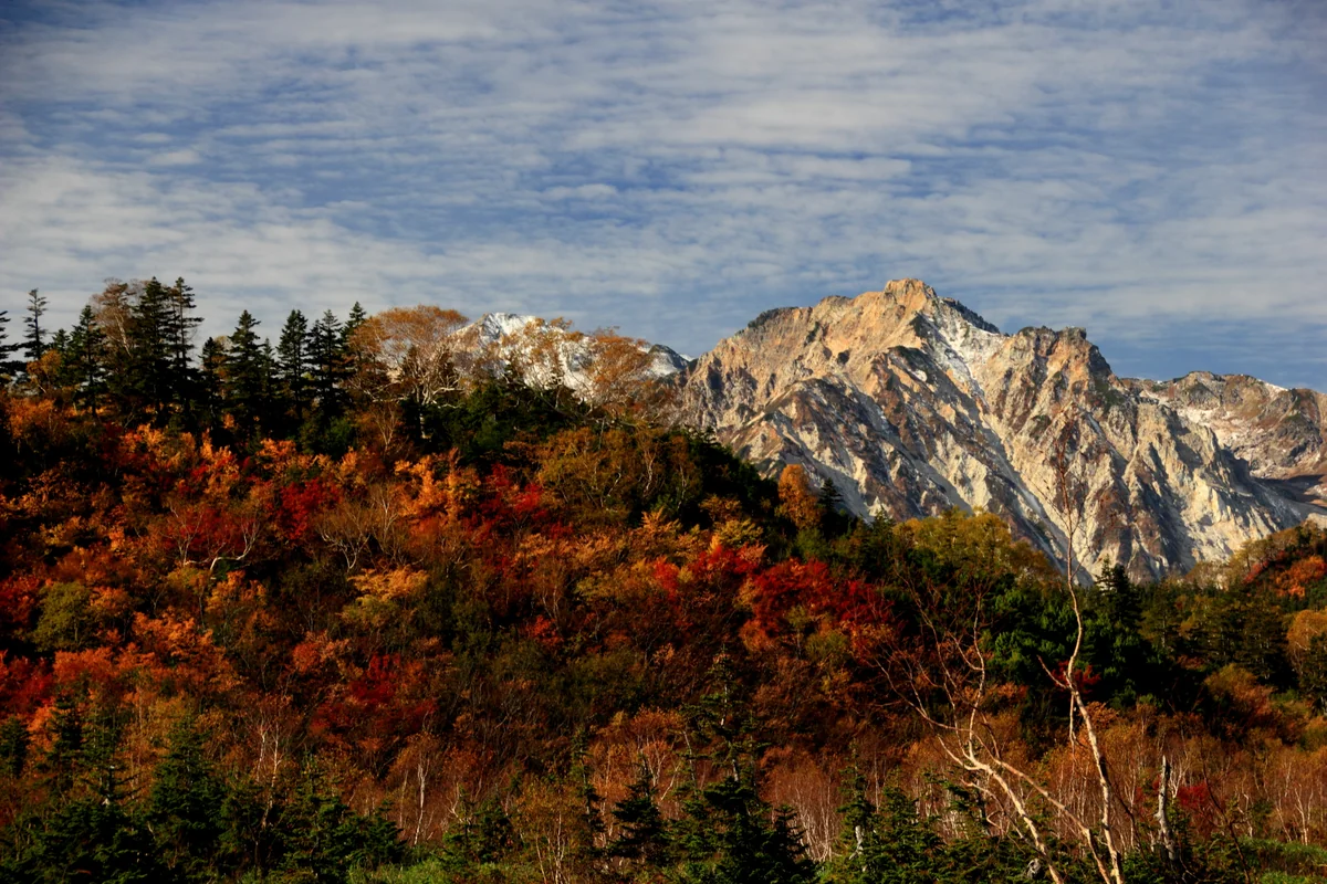投稿写真：紅葉の杓子岳