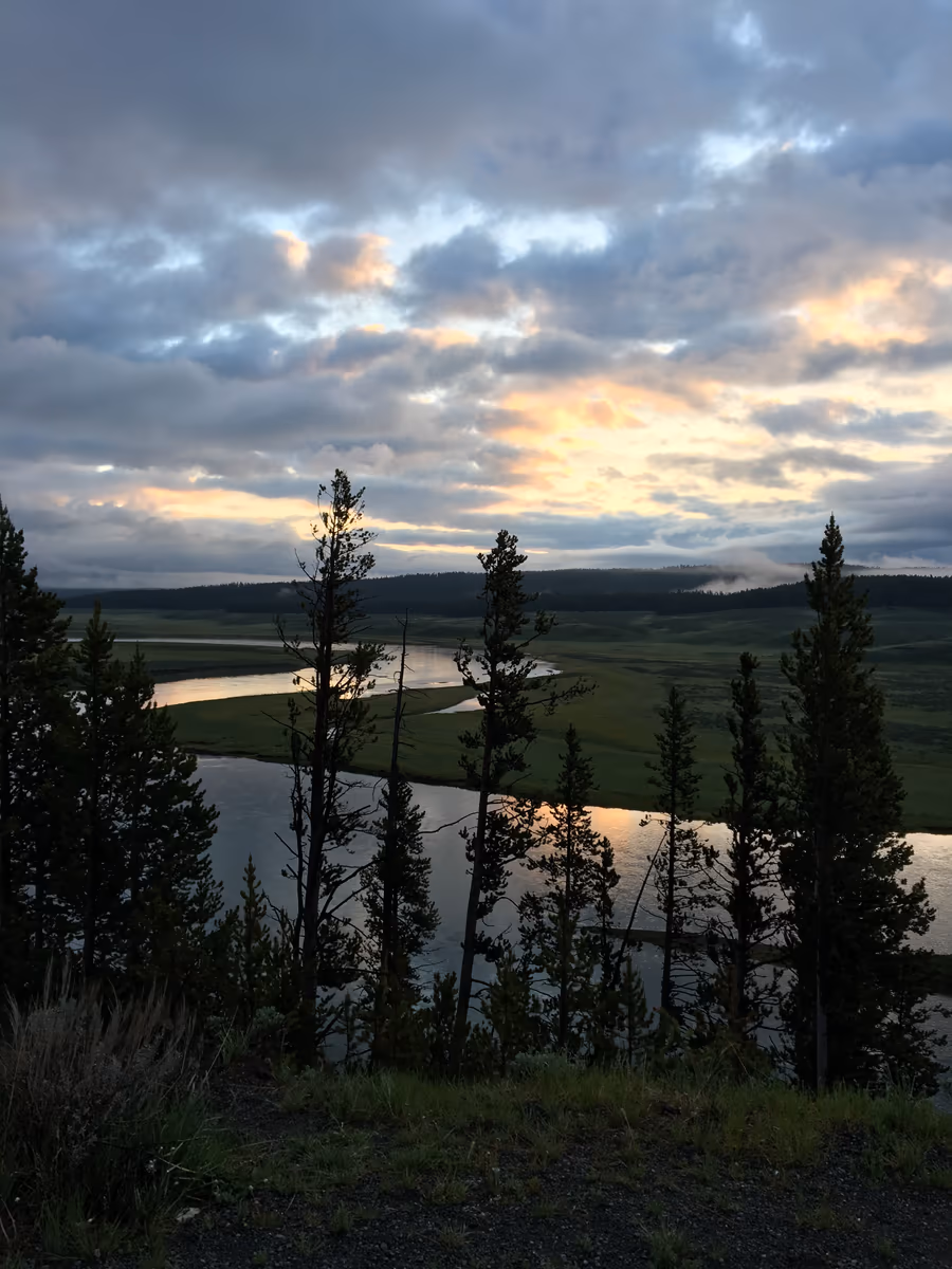 投稿写真：Yellowstone National Park