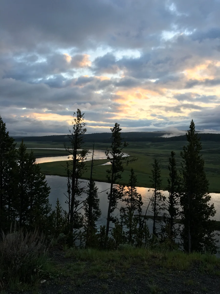 投稿写真：Yellowstone National Park