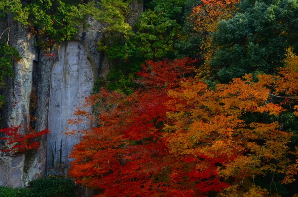 投稿写真：大野寺紅葉