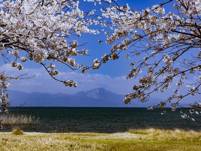  | 絶景事典