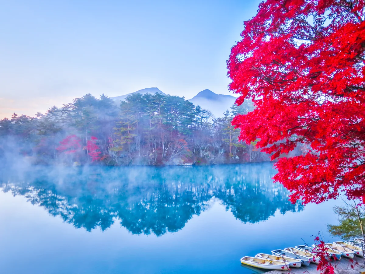 投稿写真：磐梯山とカエデの紅葉と気嵐