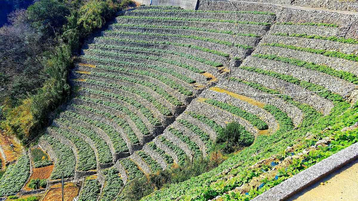 投稿写真：陽溜まりの丘