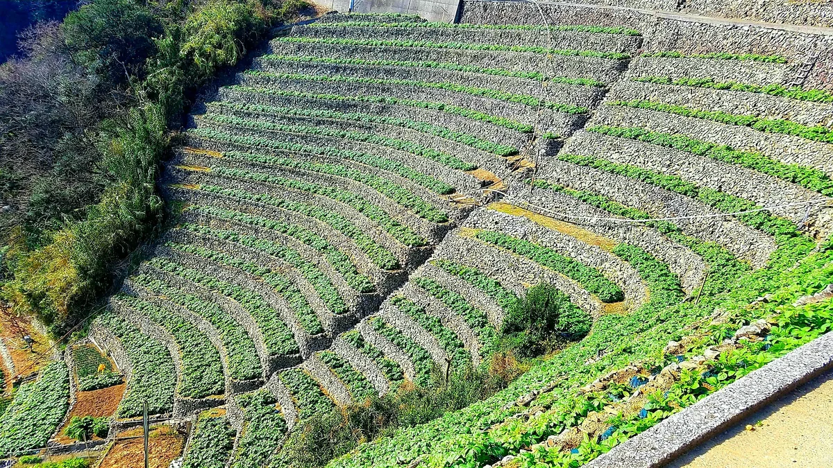 投稿写真：陽溜まりの丘