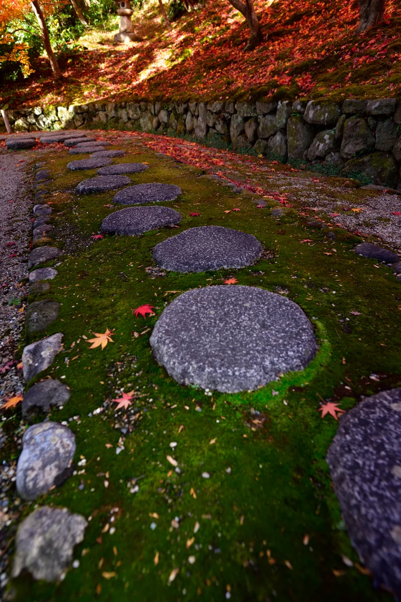 投稿写真：当麻寺の秋