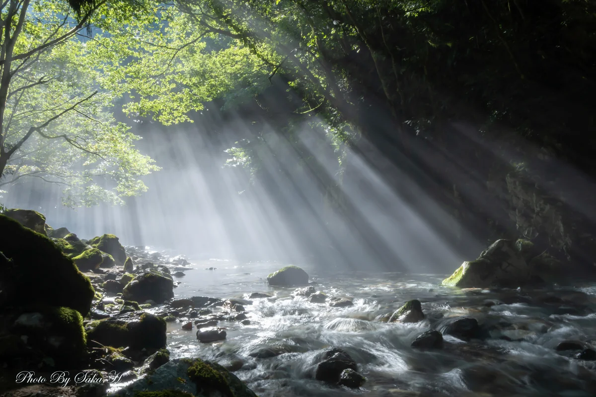 投稿写真：光のカーテン