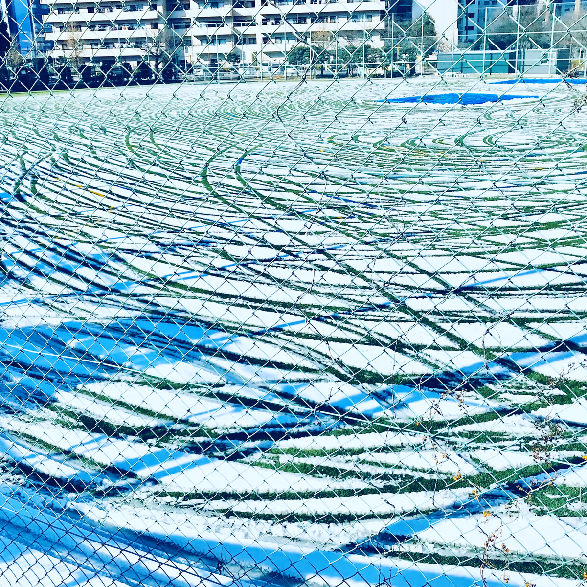 投稿写真：雪紋 枯山水