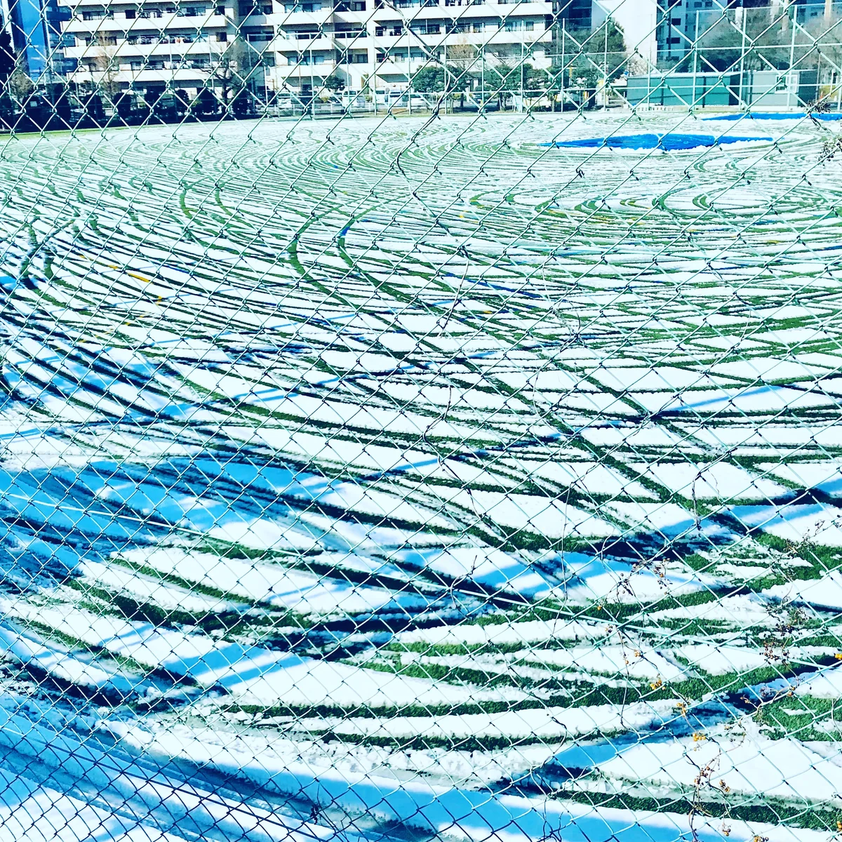 投稿写真：雪紋 枯山水