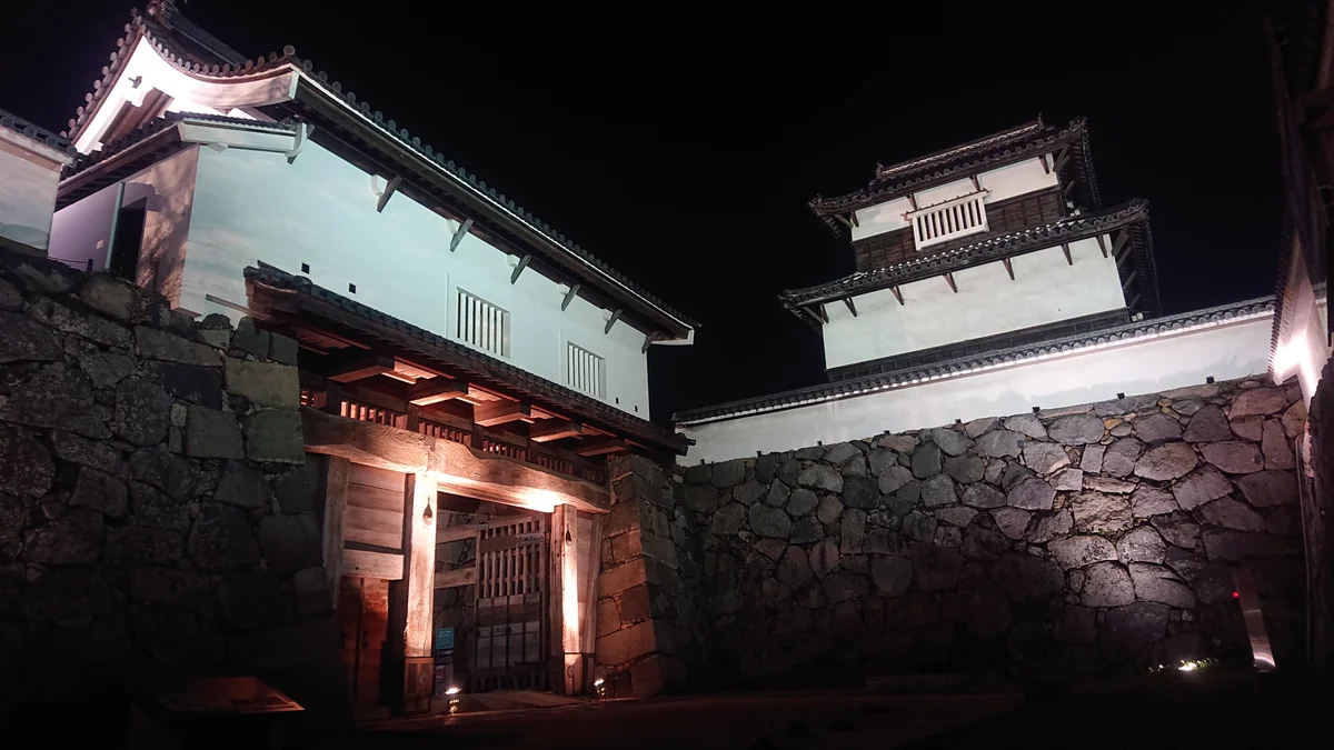 投稿写真：福岡城の夜