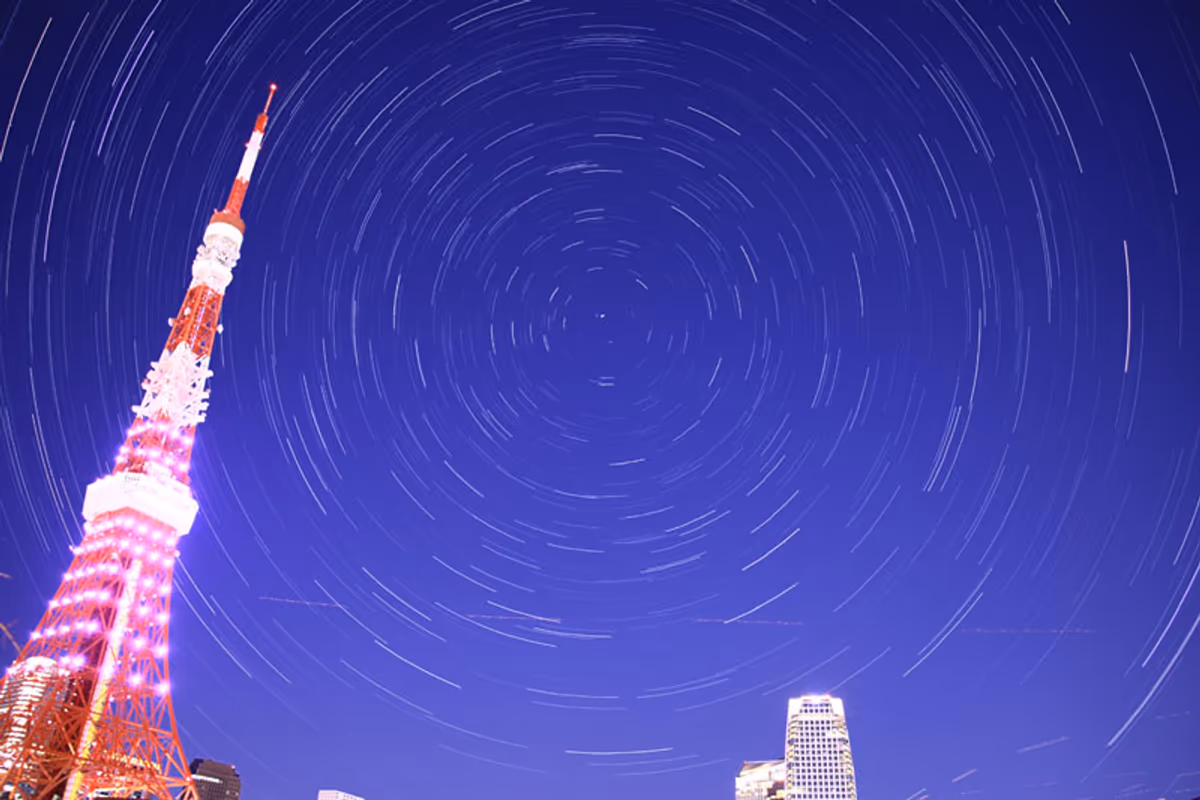 投稿写真：東京の夜