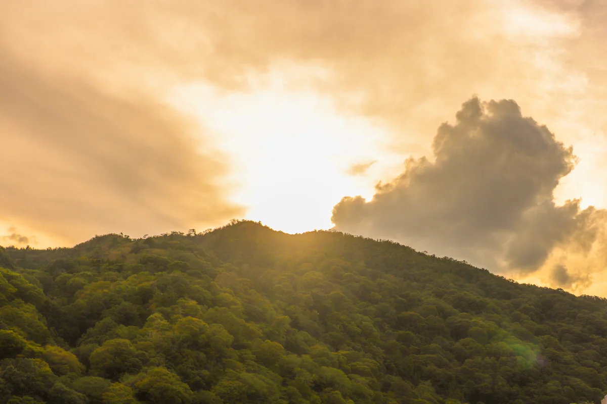 投稿写真：眩しいね