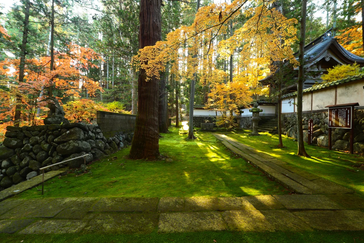投稿写真：秋の貞祥寺