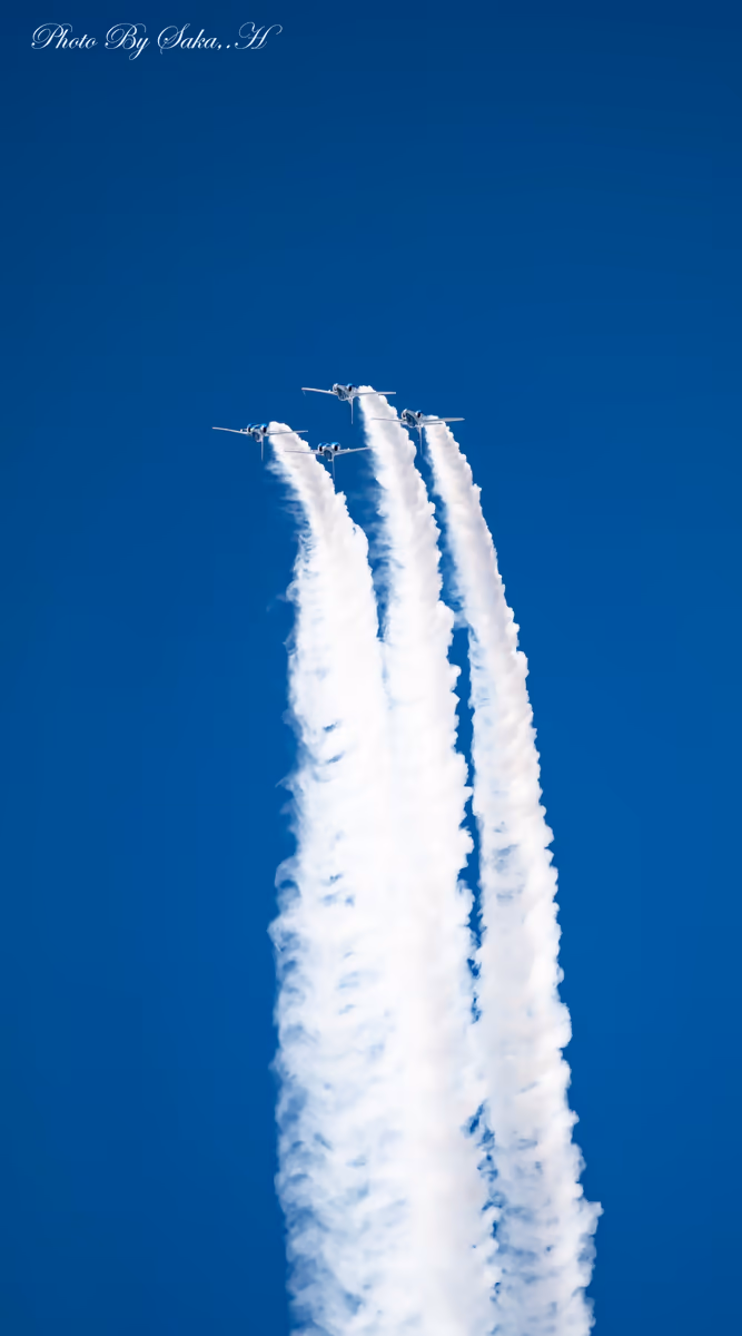 投稿写真：大空で旋回