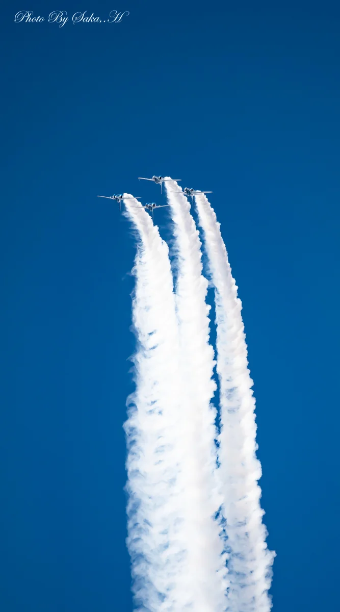 投稿写真：大空で旋回