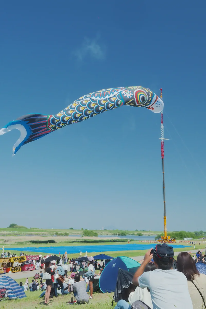投稿写真：大空に舞う