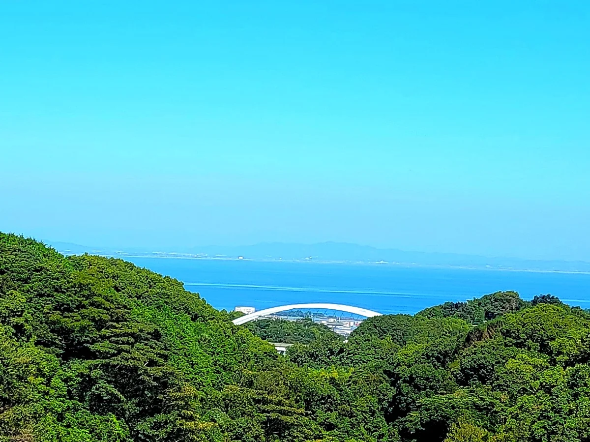 投稿写真：がまだす道路