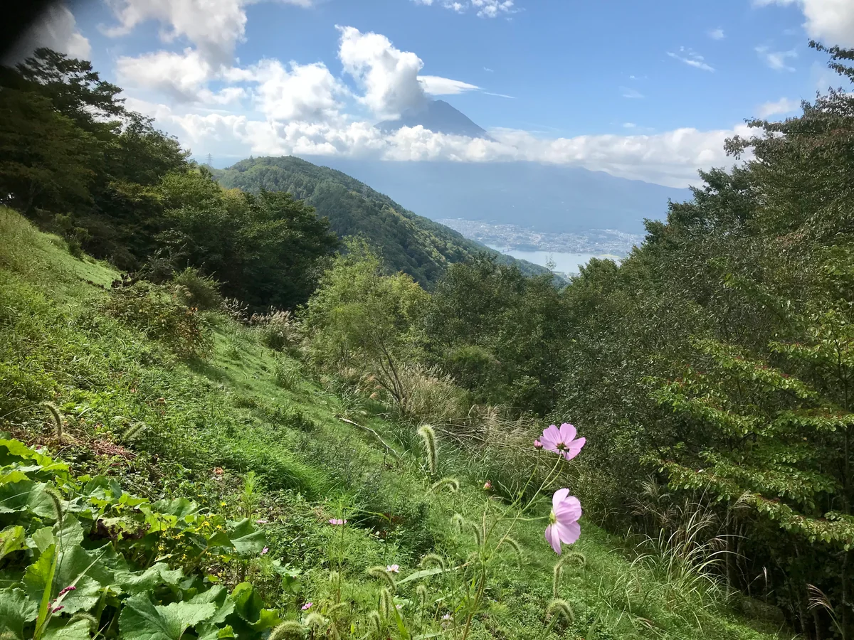 投稿写真：天下茶屋から臨む富士山
