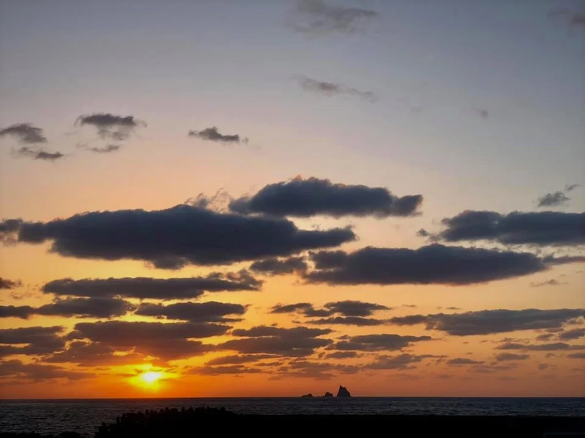 投稿写真：今日もクジラのブローが見えた