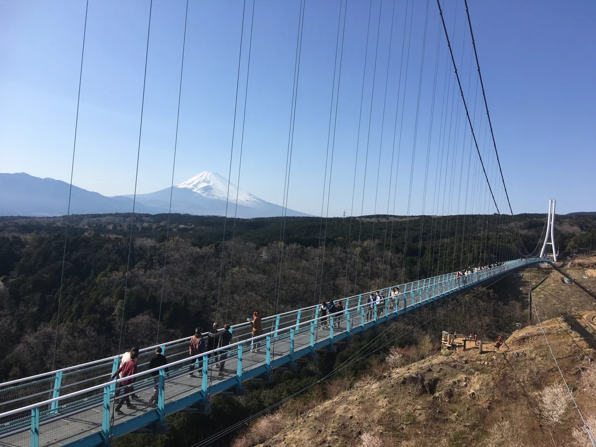投稿写真：富士山