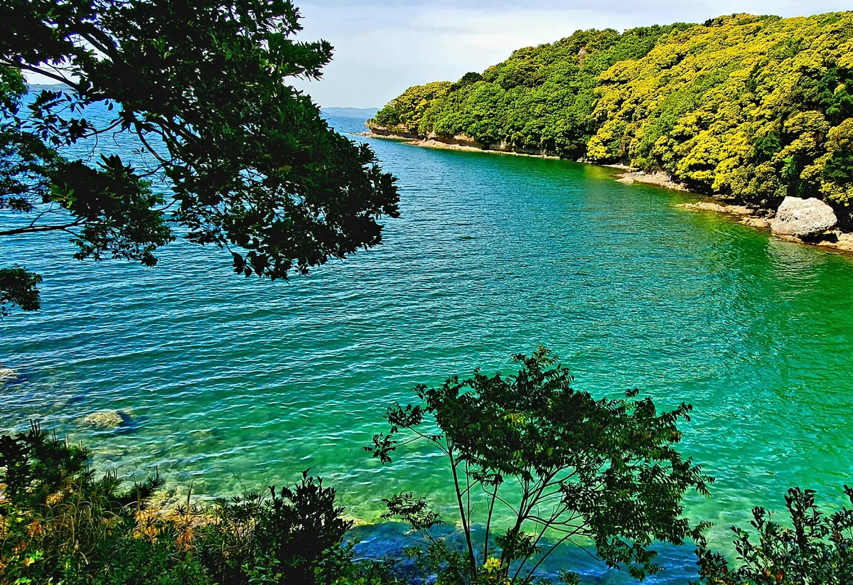 投稿写真：コテージからの眺め