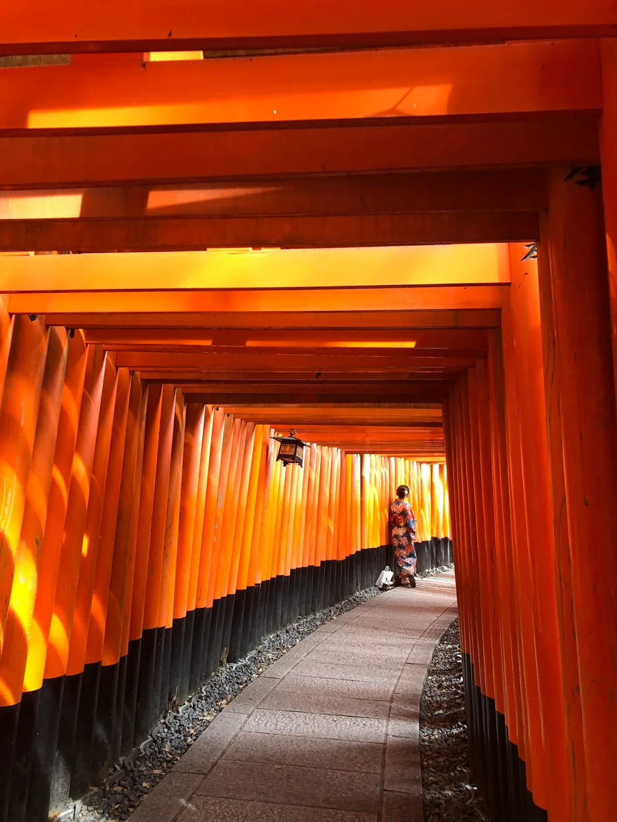 投稿写真：伏見稲荷