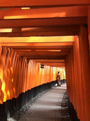  | 絶景事典