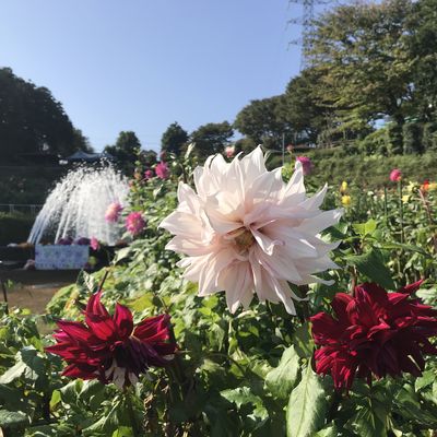  | 絶景事典