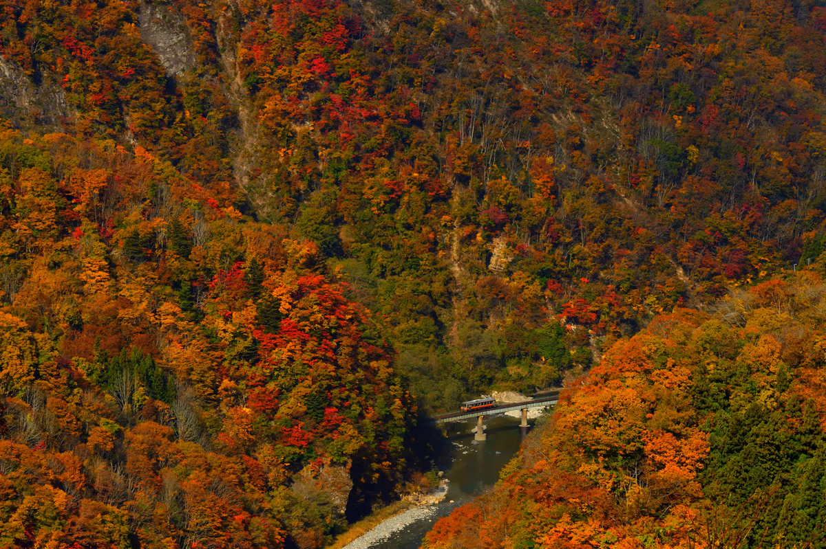 投稿写真：紅葉の渓谷