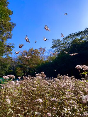  | 絶景事典