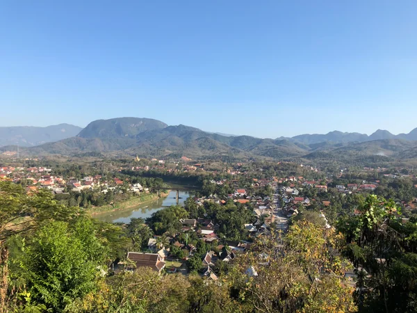 投稿：プーシーの丘から