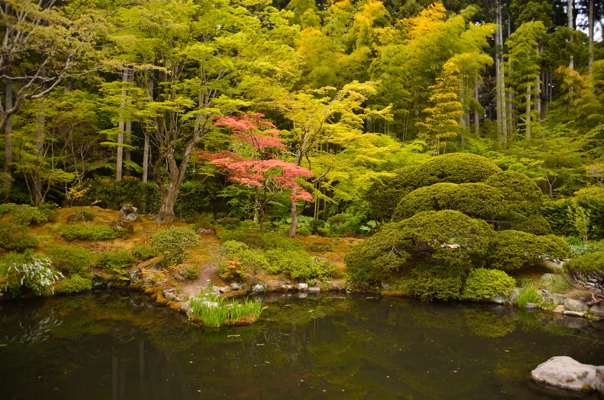 投稿写真：松島　円通院　庭園