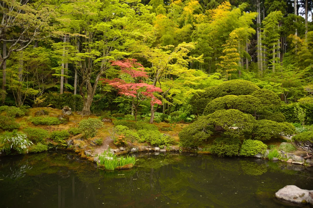 投稿写真：松島　円通院　庭園