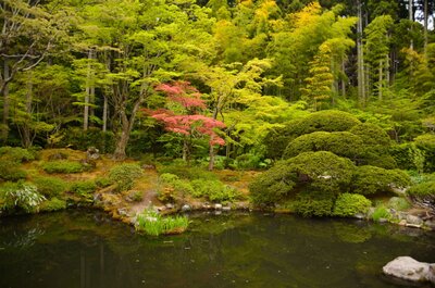  | 絶景事典