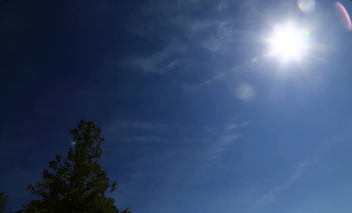 投稿写真：陽鏡