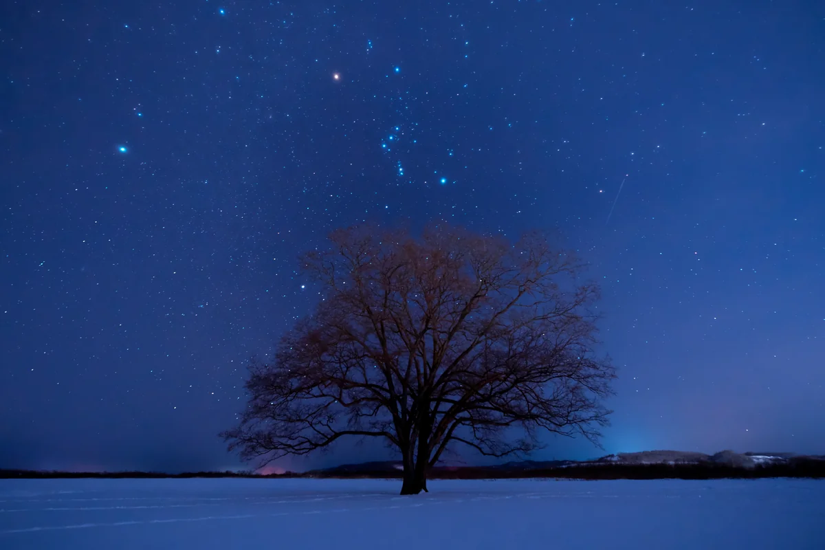 投稿写真：冬の夜空