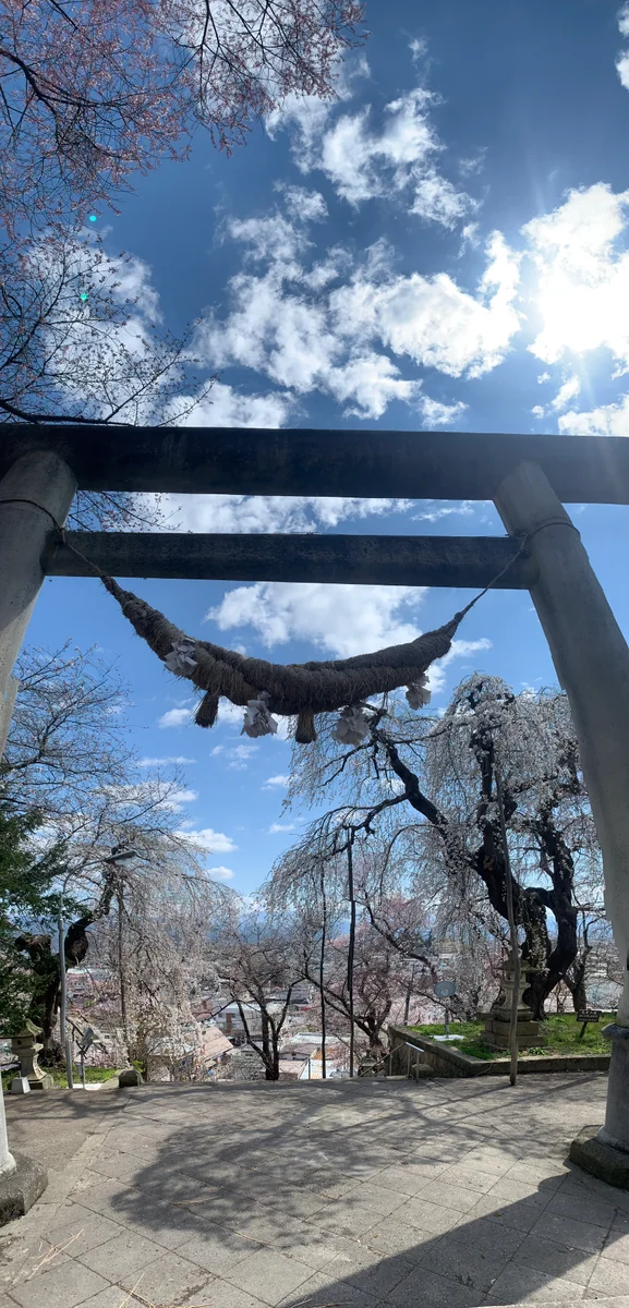 投稿写真：烏帽子山公園♪