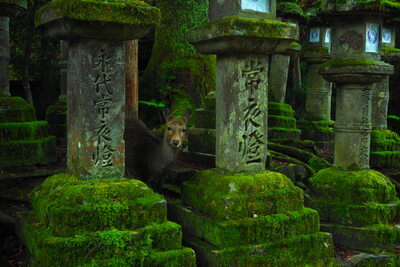  | 絶景事典