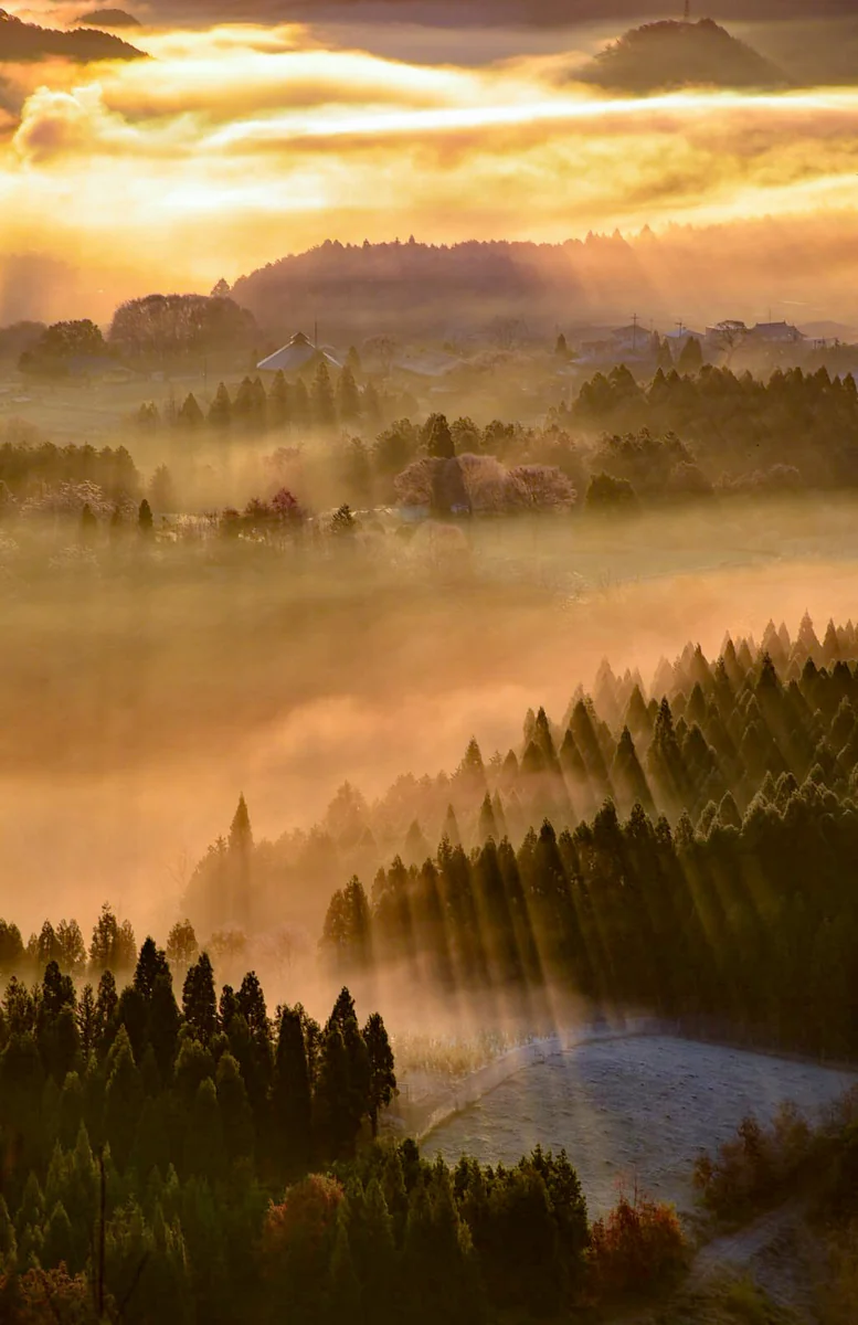 投稿写真：斜光線