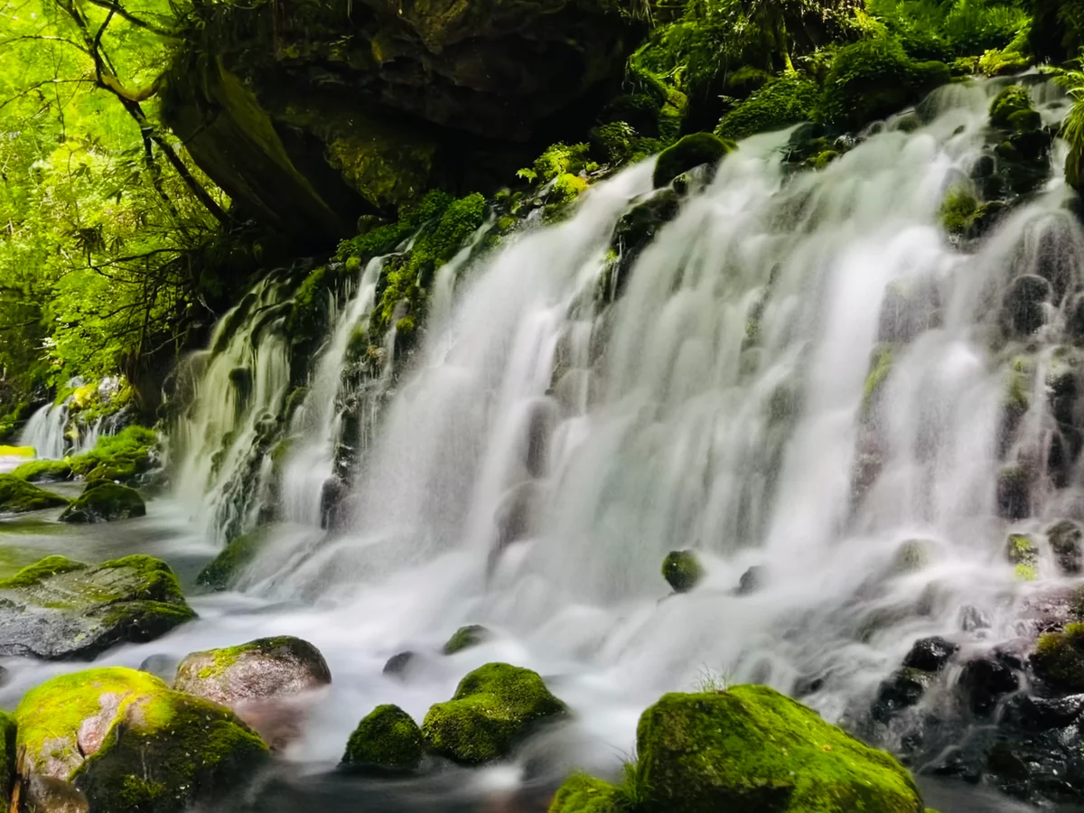 さやさんの投稿写真